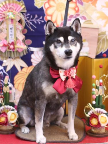 20240126タロくん